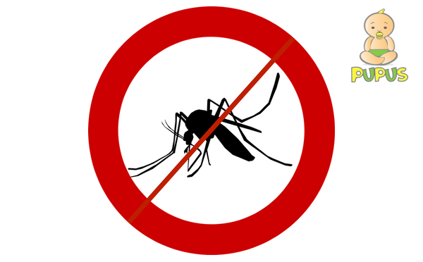 DIY: Natürliches Spray gegen Mücken und Stechmücken