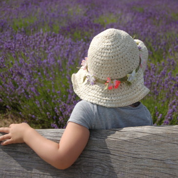 Wir haben keine Angst vor Mücken!