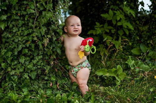 Pocket diaper, double-row snaps, OS, FLOWERS