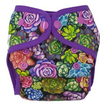 Überhose mit weicher, elastischer Einfassung SUCCULENTS