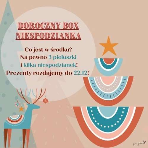 Świąteczny Box Niespodzianka 