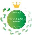 Saugfähige Wickelunterlage FLUGZEUG