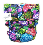 AIO (all in one) Diaper Succulents