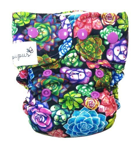 AIO (all in one) Diaper Succulents