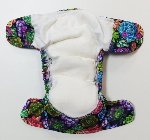 AIO (all in one) Diaper Succulents