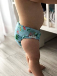 Überhose SEEPFERDCHEN