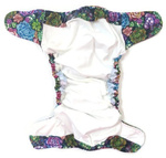 Pocket diaper SUCCULENTS