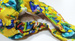 AIO (all in one) Diaper - Dragons