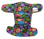 AIO (all in one) Diaper Succulents