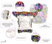 Newborn Pocket Diaper 3-7kg - Magic Forest