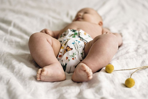 Pocket diaper, double-row snaps, OS In the grass