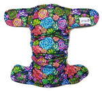 AIO (all in one) Diaper Succulents